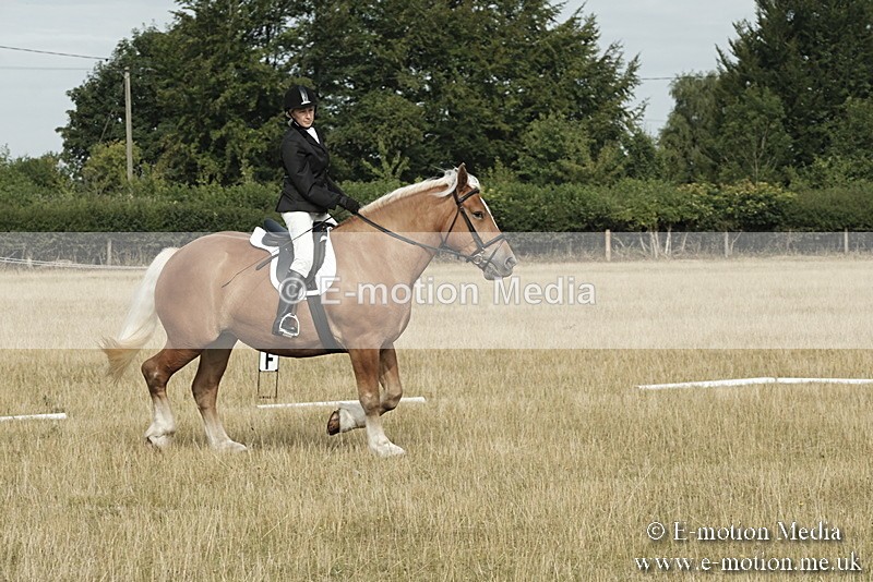 _PJP5596 - Dressage Classes BVRC Show 2018