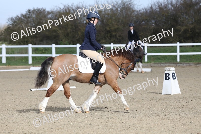 20260314-0269 - DR1 - Intro 1