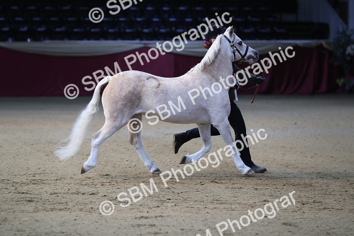 SBM_00353 - Class 1a - Area IH Diamond
