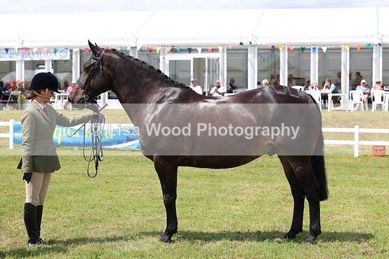 3E7A1642 - Class 9: Open Hunter