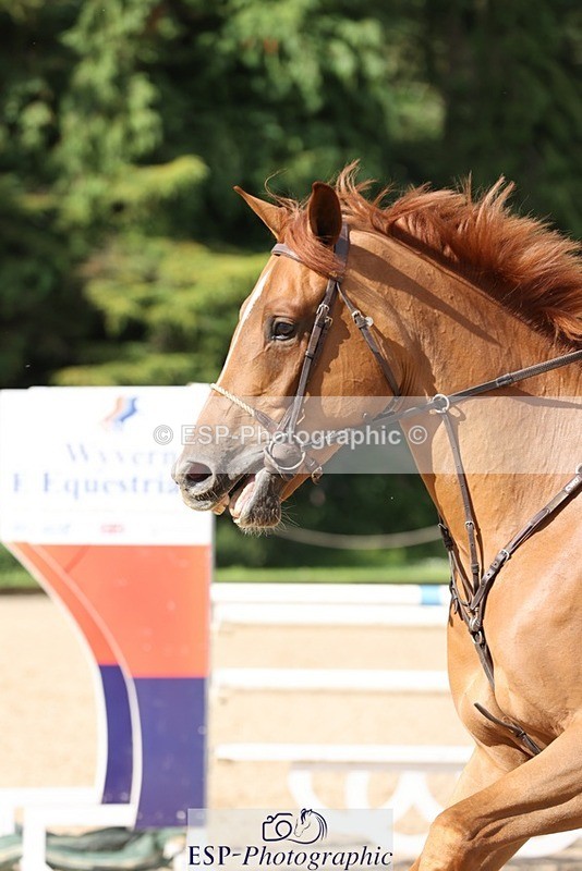 240711-091524-24653 - Cls 119 5 Yr Old Qualifier 1.10m