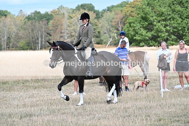 WJ7_6076 - Class 13 Ridden Veterans