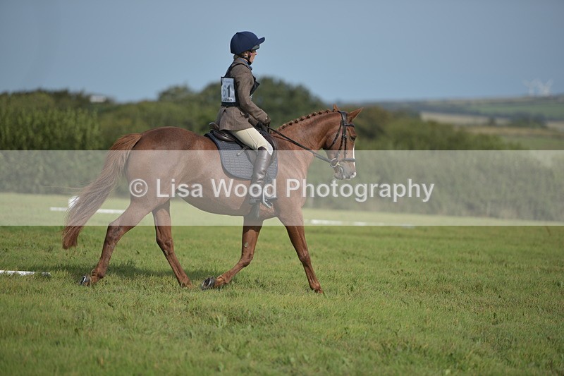 RAY_7884 - Class 2B: Trekenning Open: Dressage