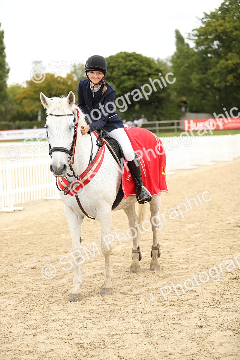 SBM_63157 - Supreme championship 75cm 80cm