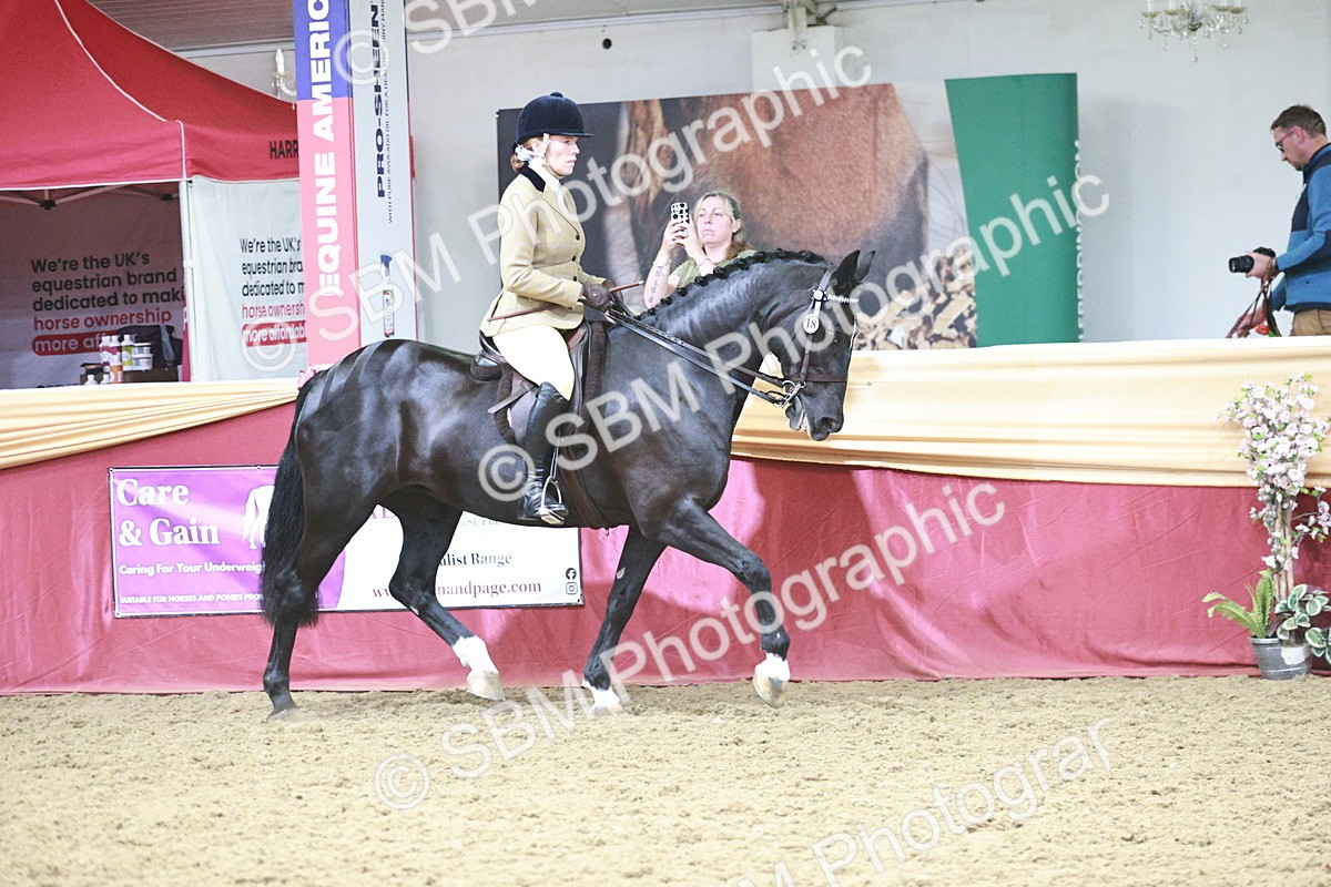 SBM_08812 - Class 12R - Regional Ridden Pre-Vet