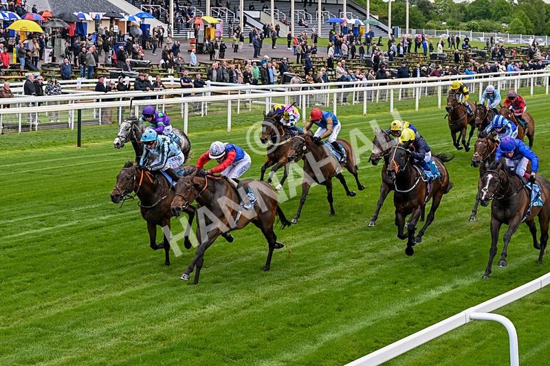 140526-Race 3-Maybe Not-0155 - Race 3 2.55pm Oakmere Homes Hambleton Handicap