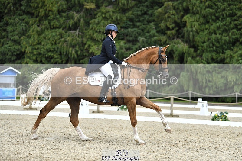 230812-144445-04789 - Cls 7 FEI PSG Bronze