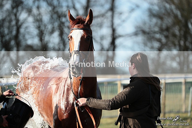 PtP 240126 678 - Cambridgeshire & Enfield Chase PtP Horseheath 24/01/26
