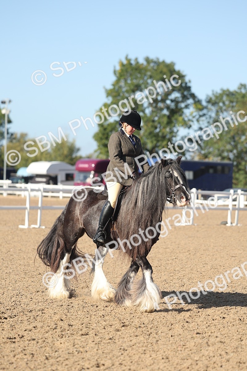 SBM_22202 - Class 802 - Ridden Groom Helpers Class