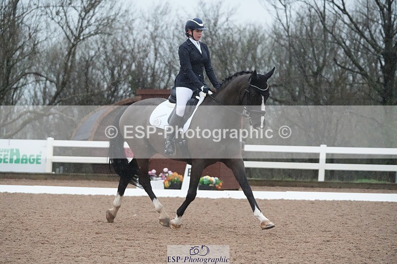 260215-141949-06771 - 110-Brooklyn.Daw