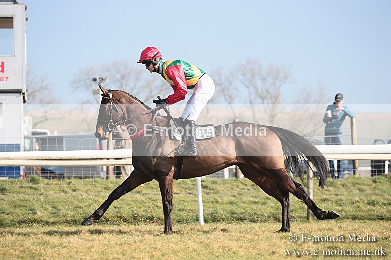 PtP 230219 34 - Vine & Craven Point-To-Point - Barbury 23/02/19