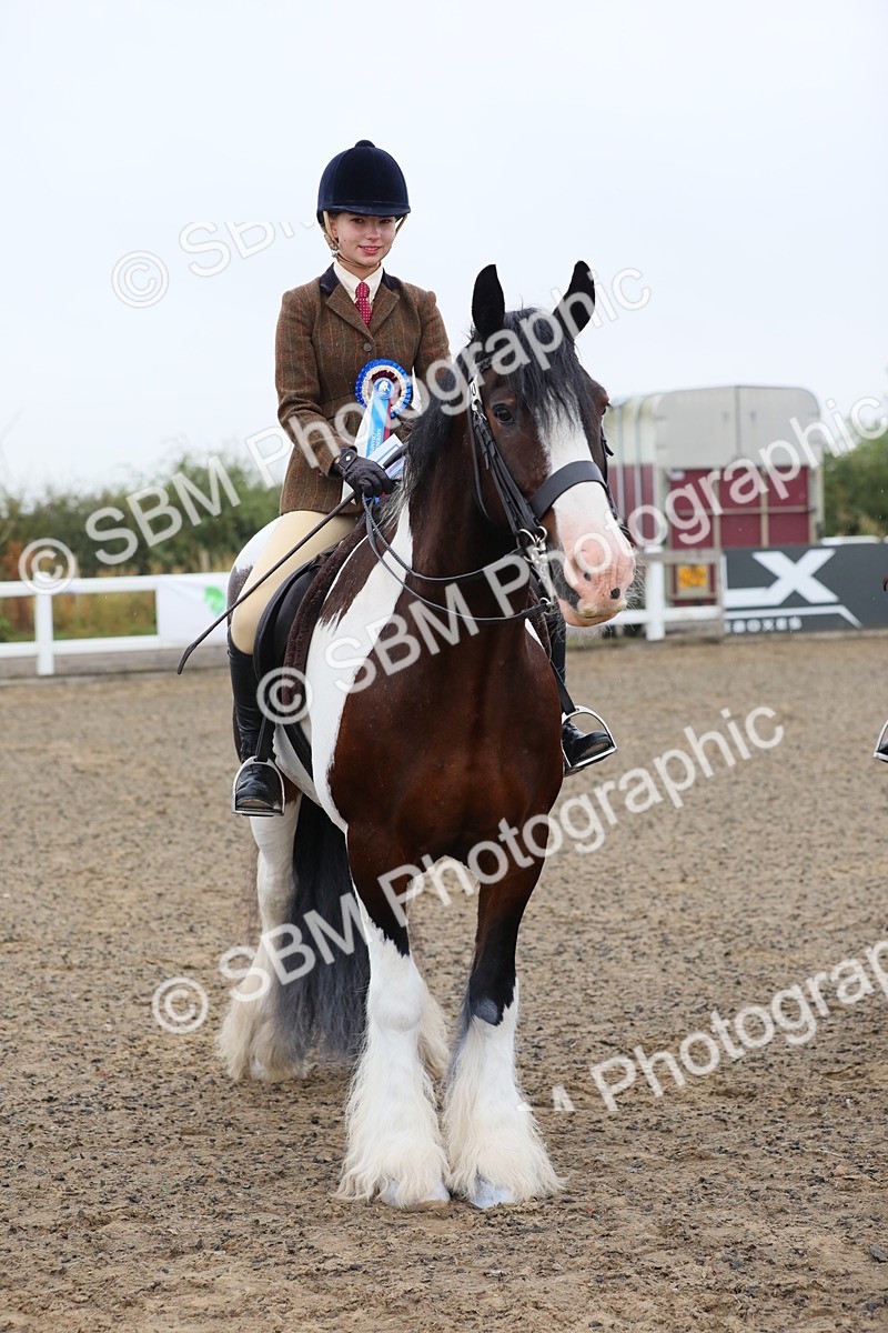 SBM_19966 - Class 801 - Ridden Veteran