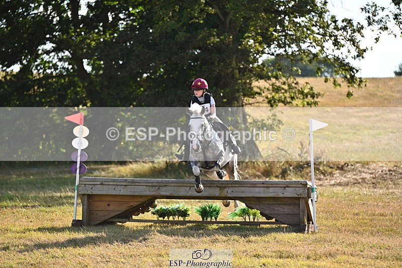 250803A-181102-18248 - R-824-Poppy.Wilkinson-DAISY.DER.BLUME