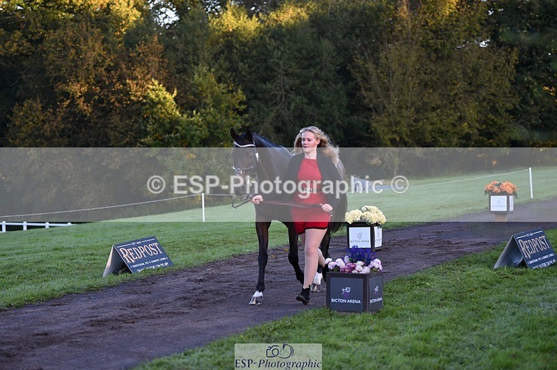 231022-084002-21282 - 611-PASTORAL.DANCER-Dana.Bateman-TrotUp+SJ