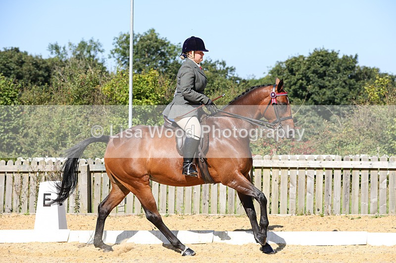 1X9A7893 - Class 10:Riding Horse