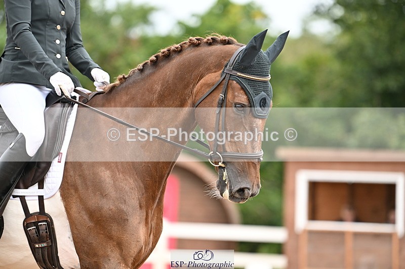 240817A-110117-07261 - 132-Nicky.Turriff-Witchcombe.Music.Man