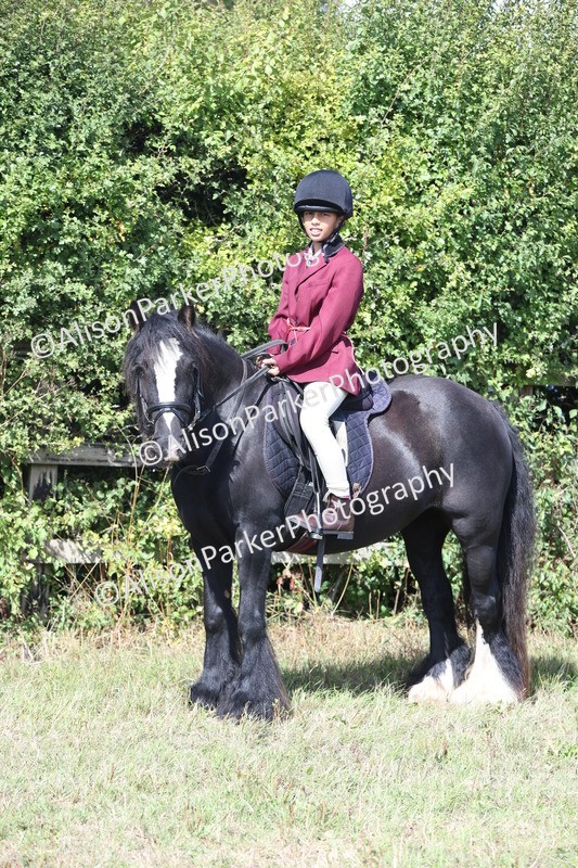 20250831-2528 - Class 16 - Family Pony