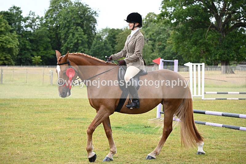 WJ6_8634 - Class 9 Tack & Turned out