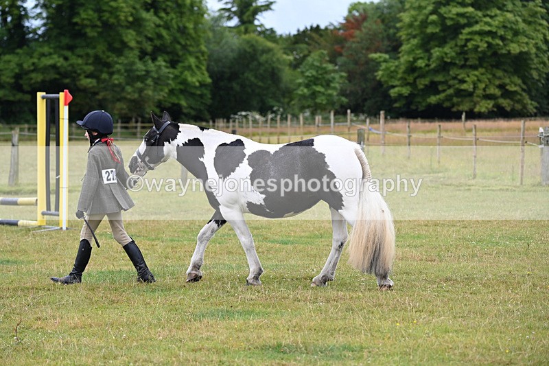 WJ6_8748 - Class 10 Coloured in-hand