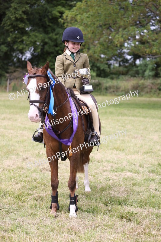 20260614-3199 - Class 22 - Open Working Hunter