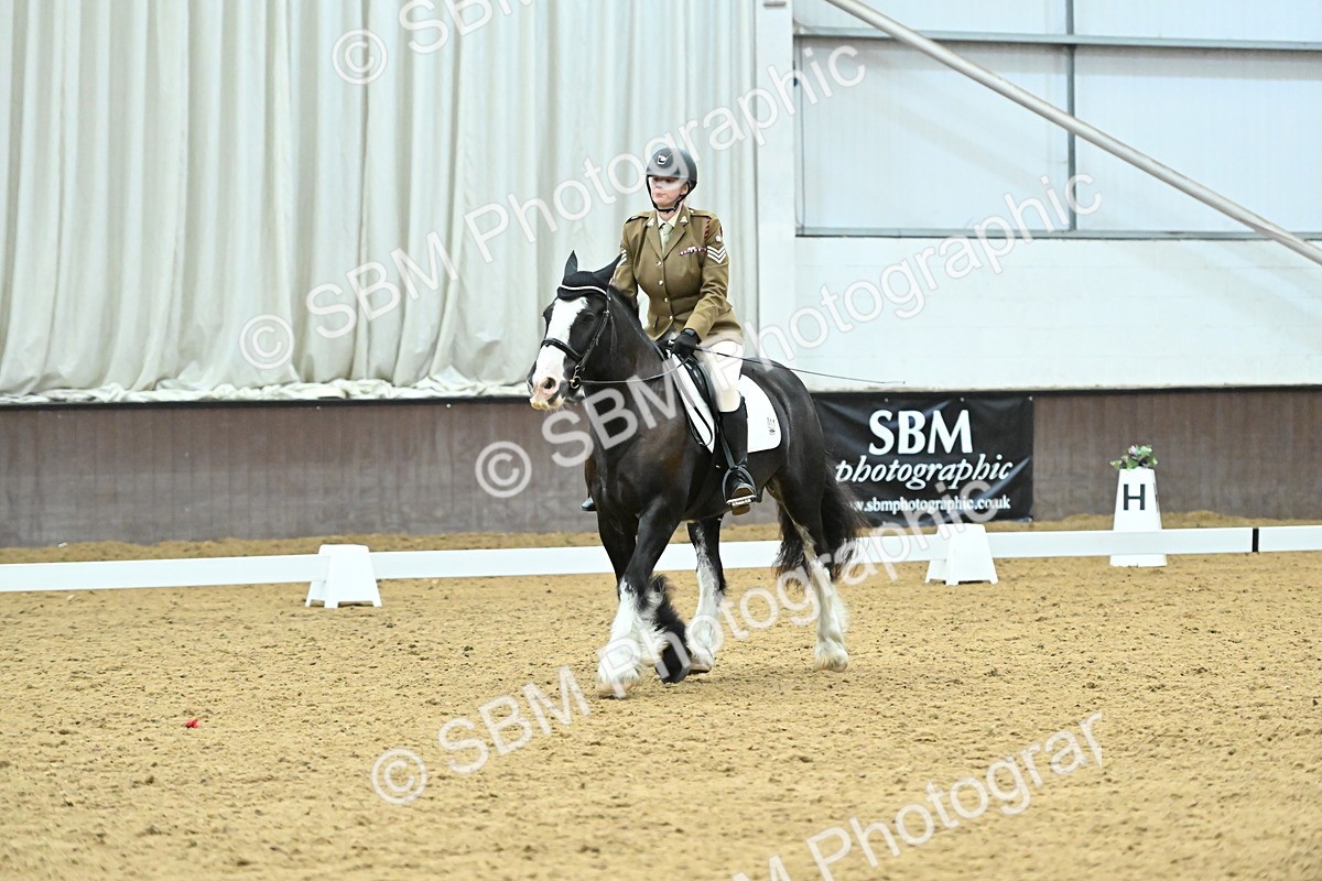 SBM_007450 - Class 81 - Novice 3