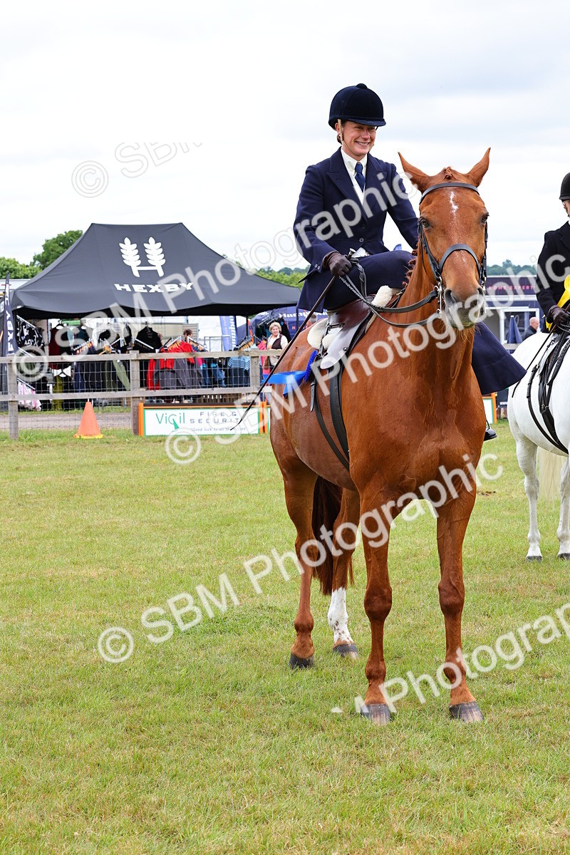 SBM_02974 - Class 9-11 Side Saddle including LIHS Rising Star Ladies Show Horse
