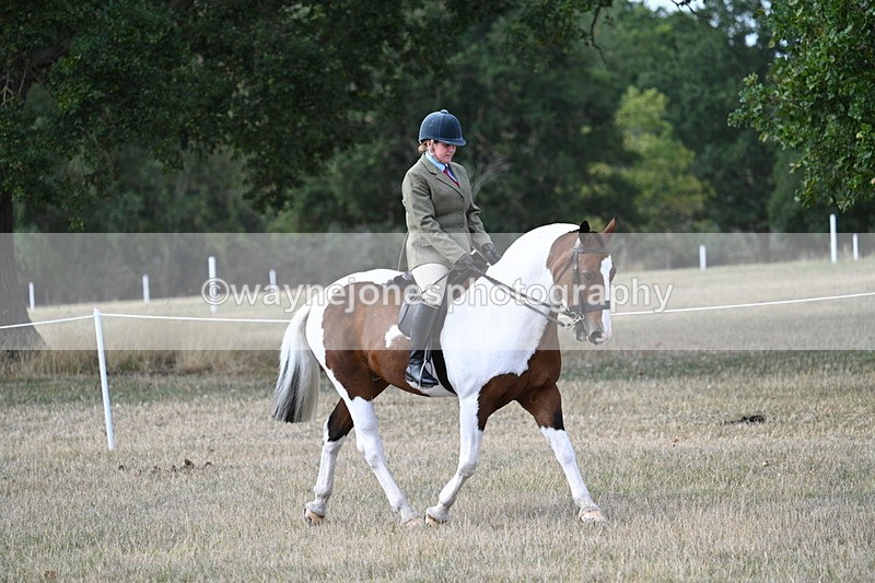 WJ7_6845 - Class 14 Ridden Coloured