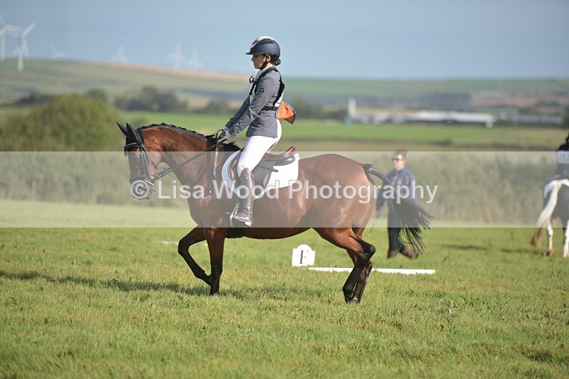 RAY_7565 - Class 2B: Trekenning Open: Dressage