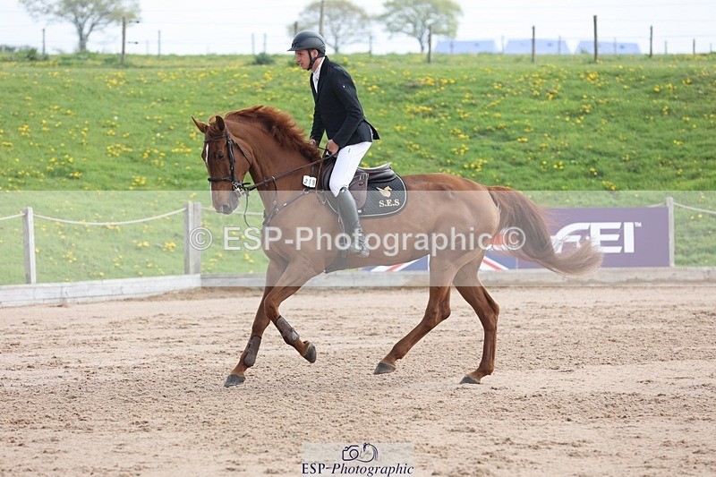 250424-111246-03410 - Cls 33 Young Horse 7yr old