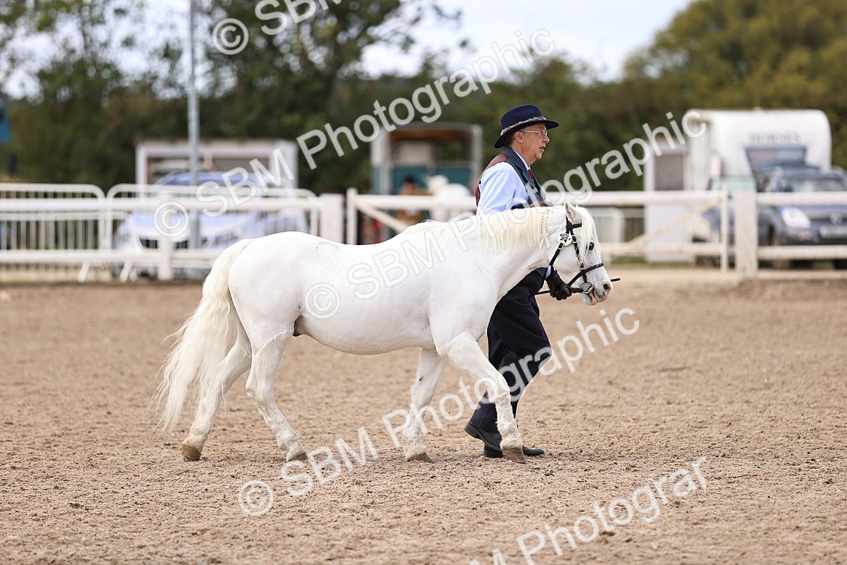 SBM_14191 - Class 415 - Horse-Pony judge would most like to take home (IH or Ridden)