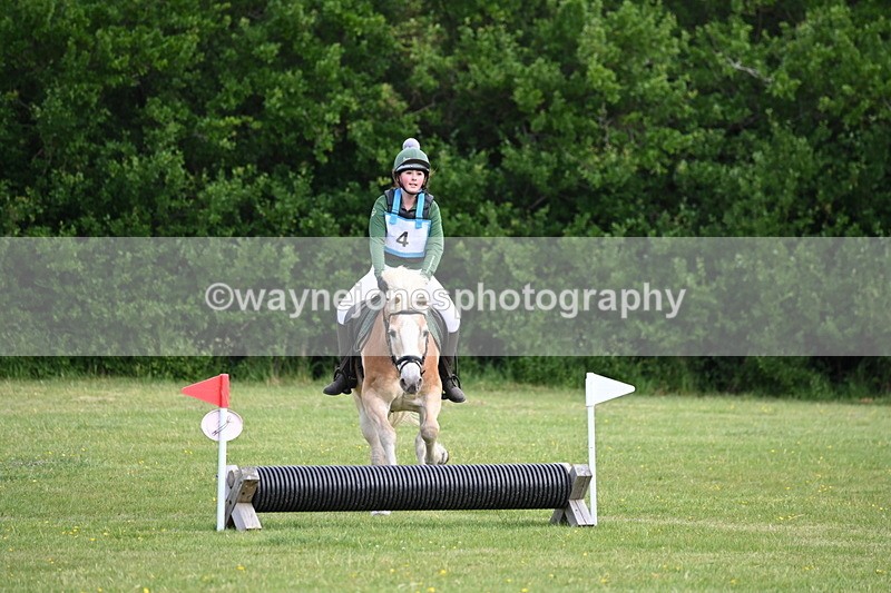 WJ6_2269 - Class 2 40cm