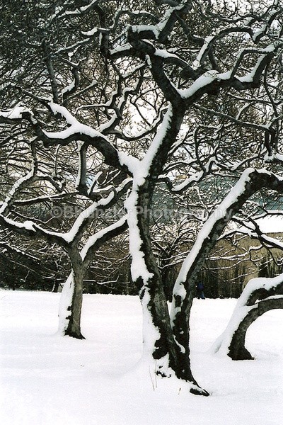  - Central Park