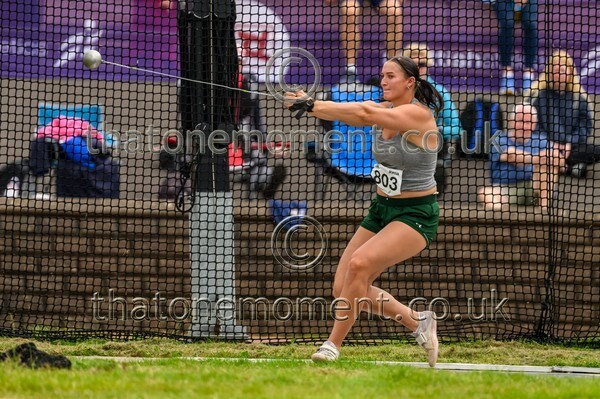 Sen25SAT-924740 - Field Female Set Two