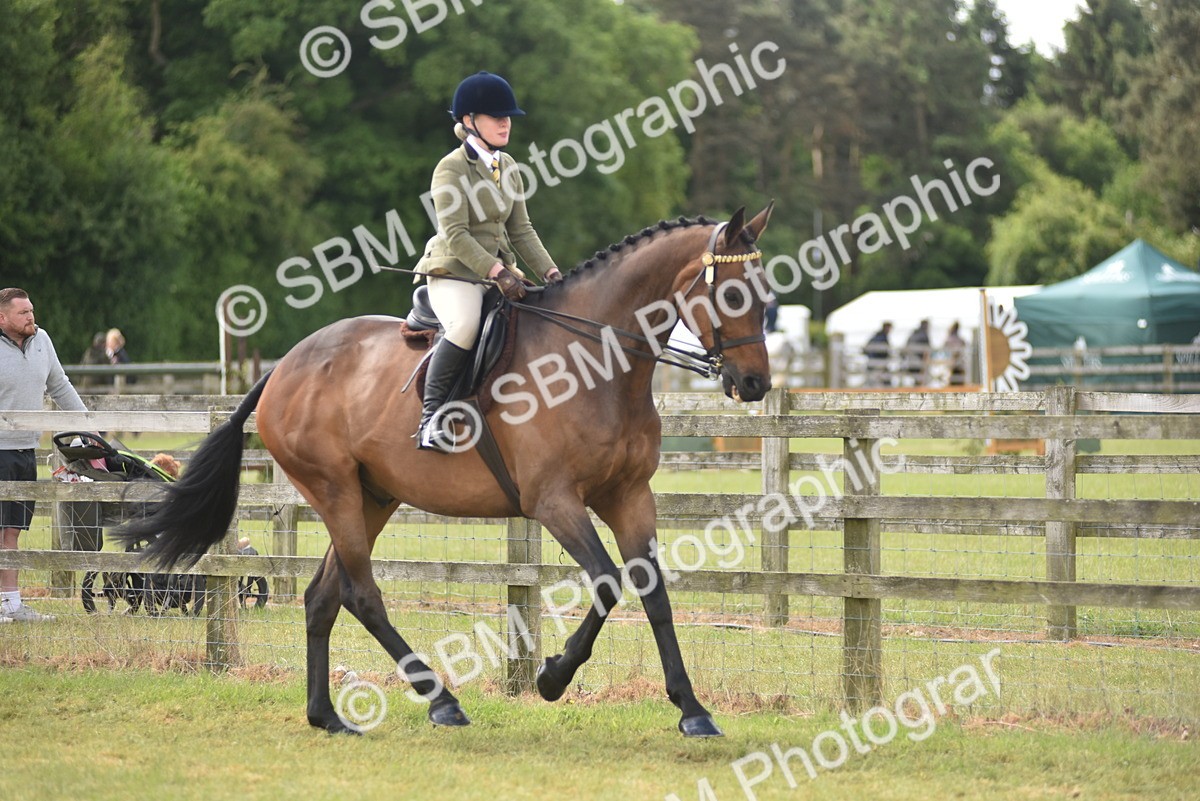 SBM_15079 - Class 113-114 - Retraining of Racehorses Ridden