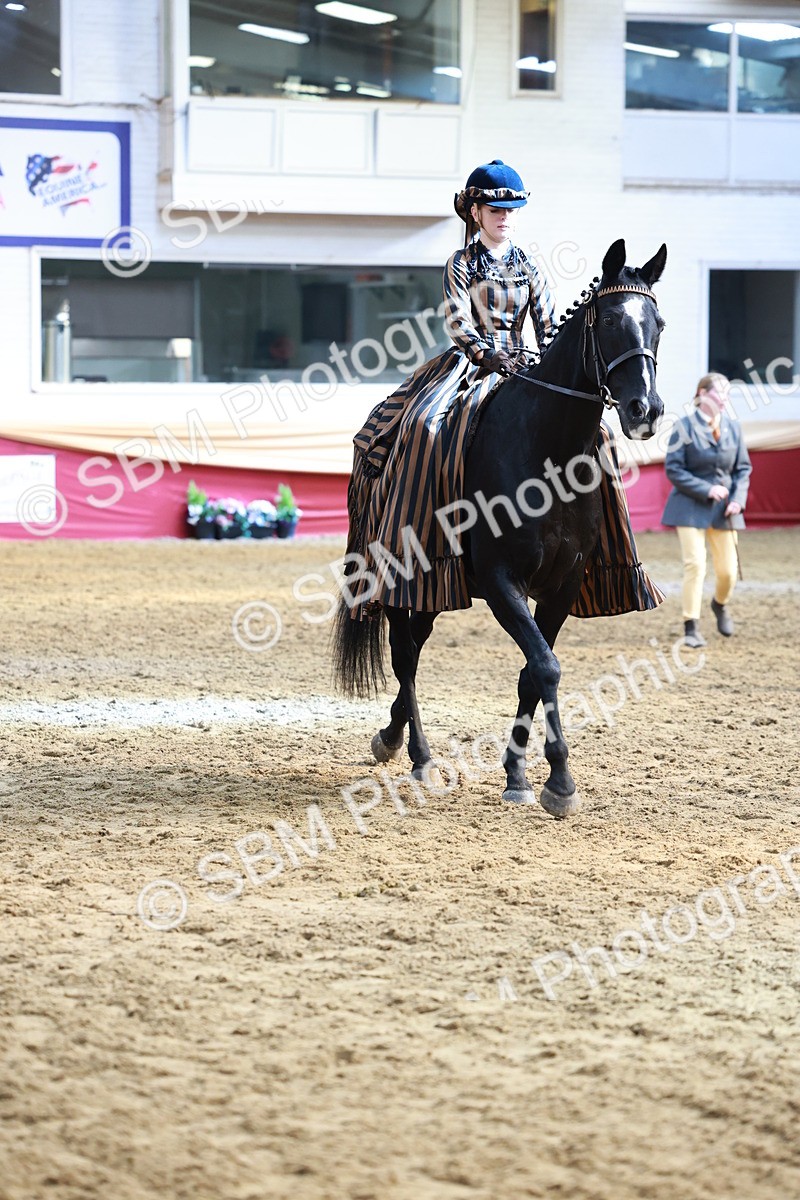 SBM_13465 - Class 104 - Ridden Costume - Astride Junior