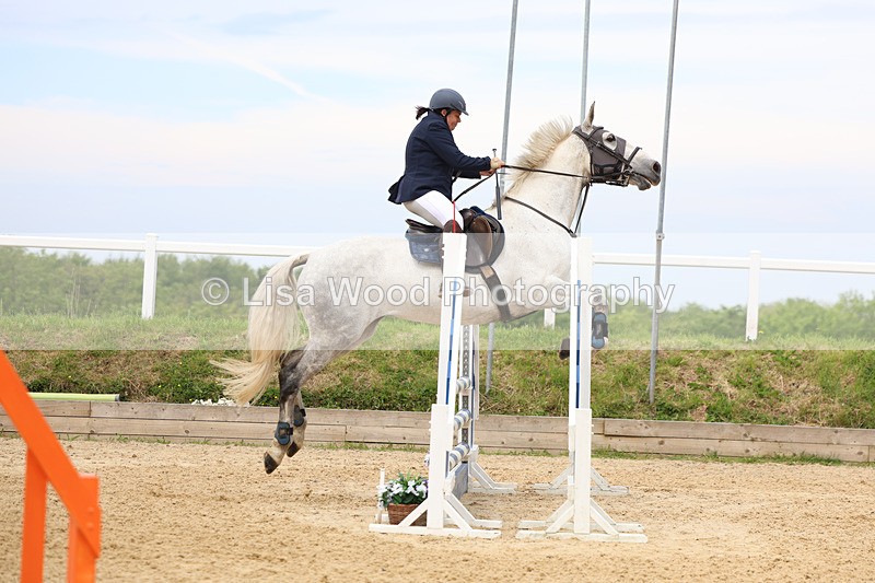 3E7A8545 - Class 4: Senior British Novice/90cm open