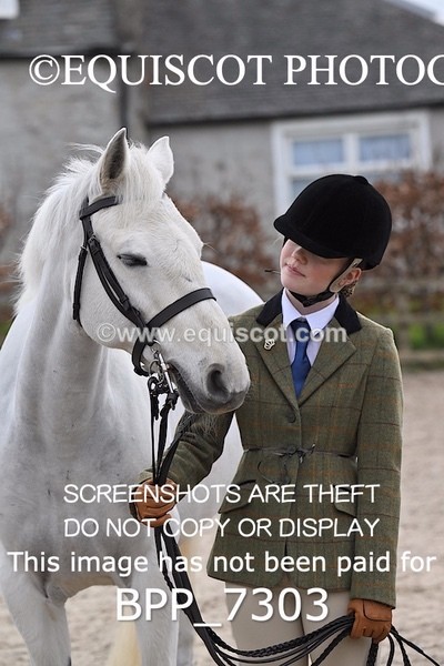 BPP_7303 - RING 1  (RIDDEN HORSES / IN HAND / VETERAN ETC)