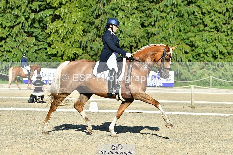 230623-181132-03179 - Cls 11 FEI PSG
