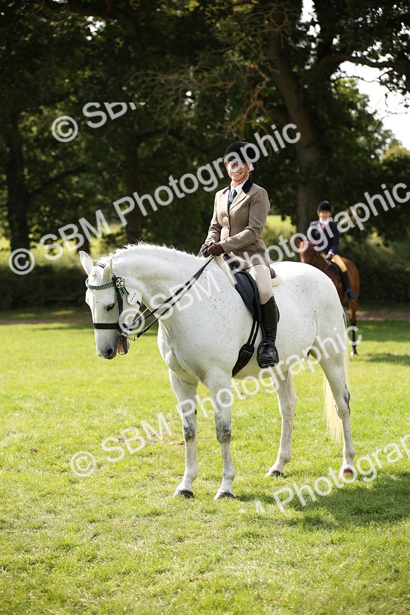 SBM_65993 - S64 - Riding Horse & Hack & Thoroughbred Ridden