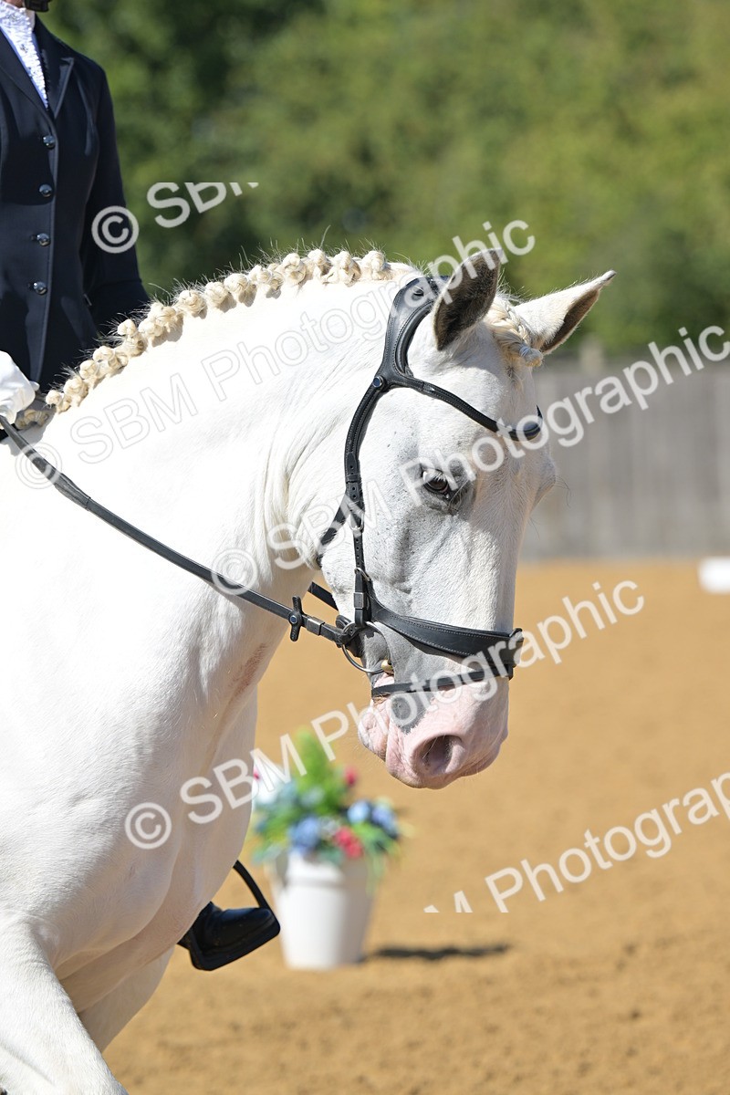 SBM_07972 - D8 - Small Tour Championship Prelim 1