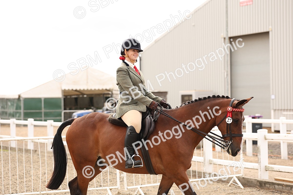 SBM_01623 - Class 52 - Ridden Veteran