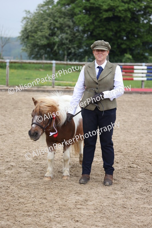 20260504-0536 - Class 4 - Minitures and Shetlands