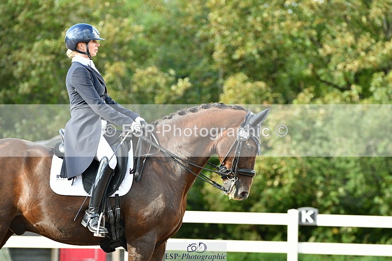 230912A-171004-01945 - Cls 23 FEI Grand Prix