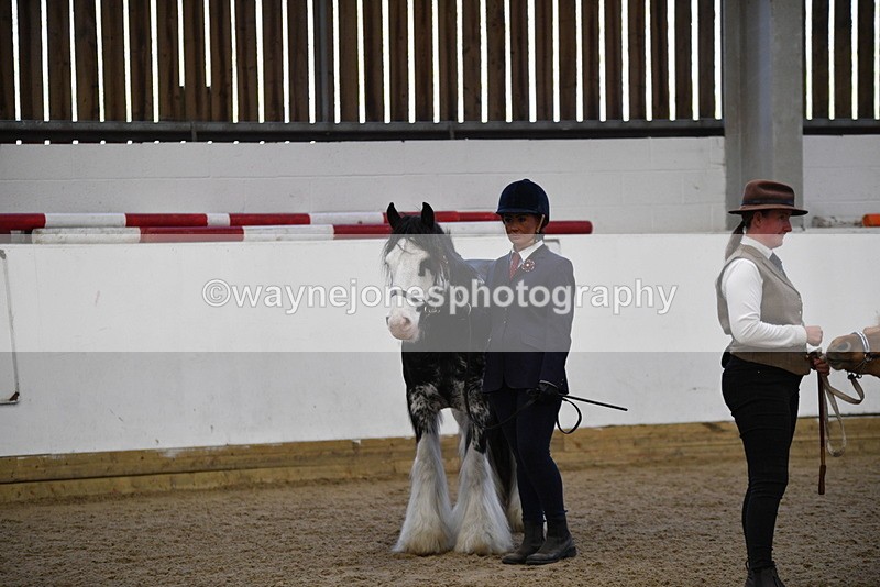 WJ5_5083 - Class 7 In hand coloured / odd coloured