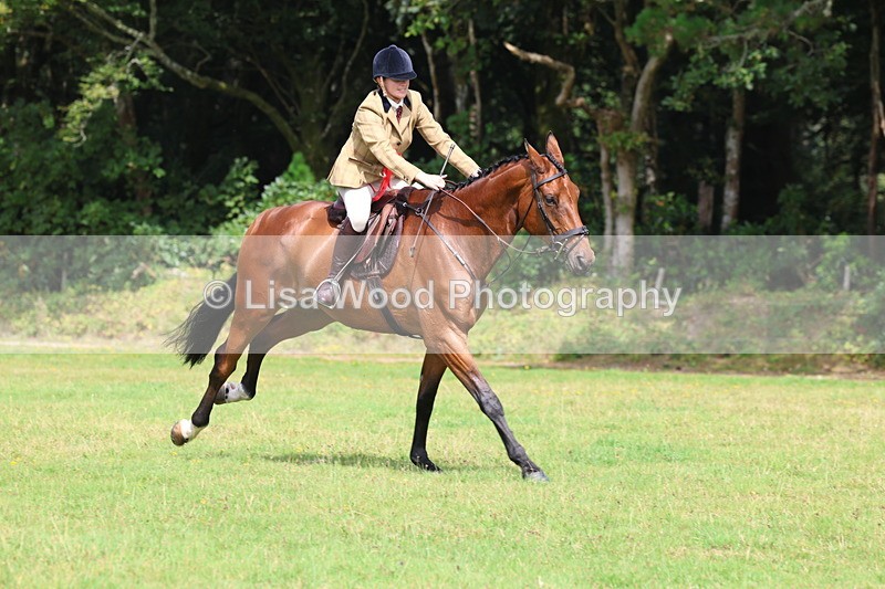 3E7A6138 - Working Hunter Championship