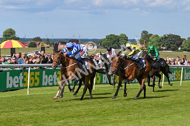 080624-Race 7-This Years Love-2044 - Race 7