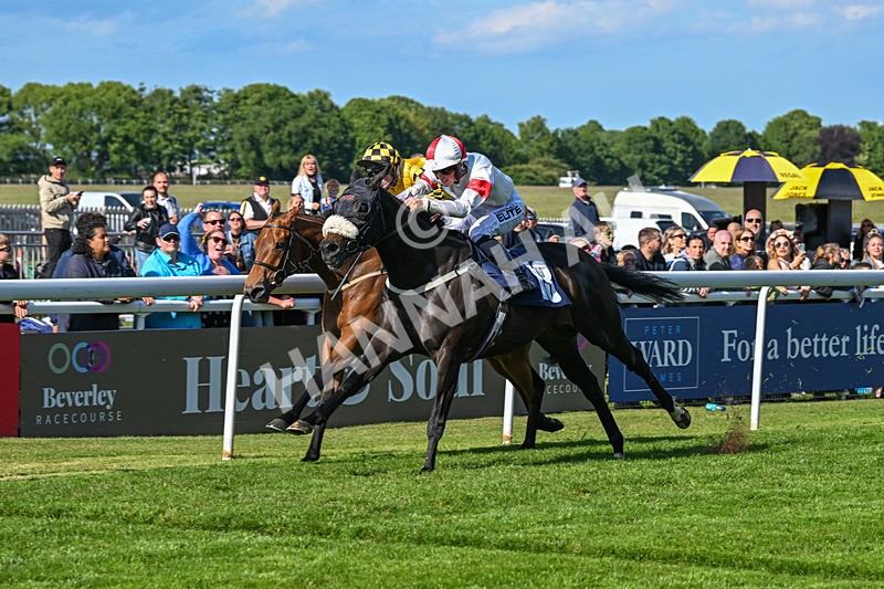 280525-Race 7-Blackcurrent-6251 - Race 7