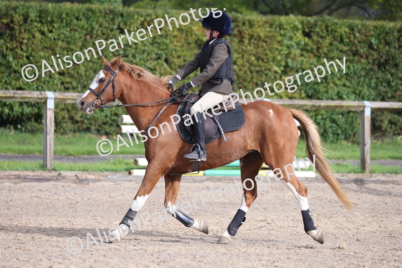 20250928-0731 - Class 3 - 60cm