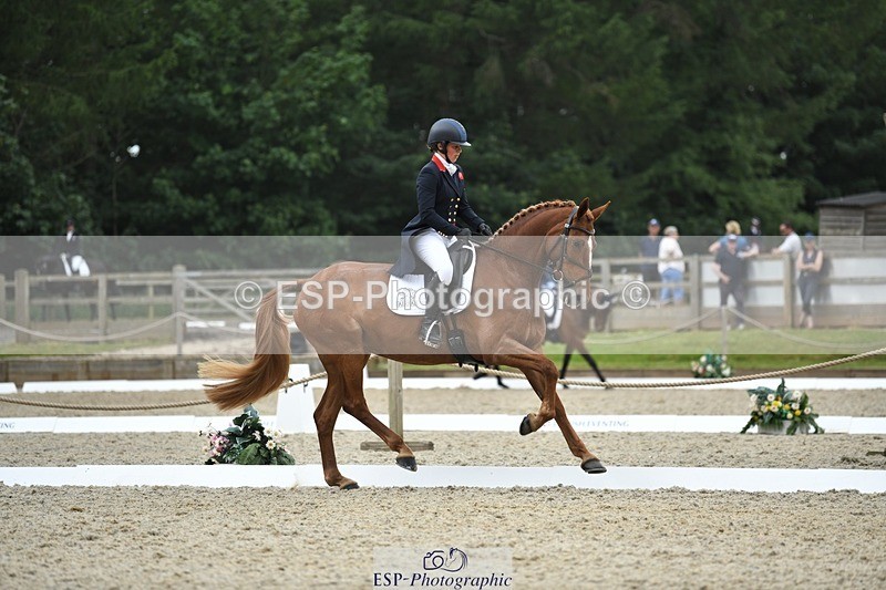 230525-125643-02058 - 112-BILLY_MAPLE-Kitty_King-WEDTrotUp+DR