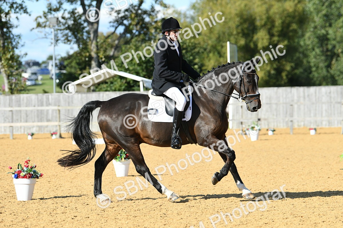 SBM_27193 - D16 - Small Tour Championship - Novice 28